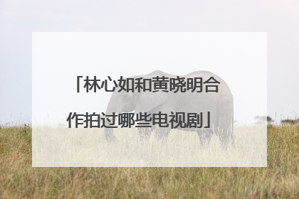 林心如和黄晓明合作拍过哪些电视剧