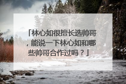 林心如很擅长选帅哥,能说一下林心如和哪些帅哥合作过吗?