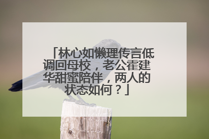 林心如懒理传言低调回母校，老公霍建华甜蜜陪伴，两人的状态如何？