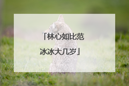 林心如比范冰冰大几岁