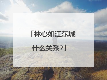 林心如汪东城什么关系?