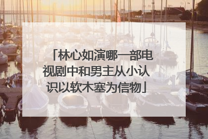 林心如演哪一部电视剧中和男主从小认识以软木塞为信物