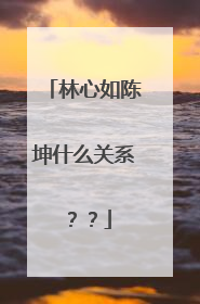 林心如陈坤什么关系??