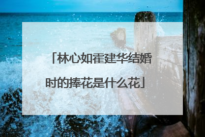 林心如霍建华结婚时的捧花是什么花