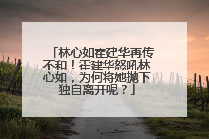 林心如霍建华再传不和！霍建华怒吼林心如，为何将她抛下独自离开呢？