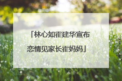 林心如霍建华宣布恋情见家长霍妈妈