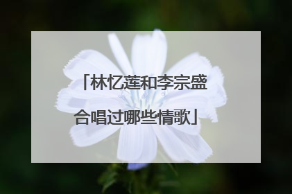 林忆莲和李宗盛合唱过哪些情歌