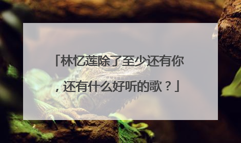 林忆莲除了至少还有你，还有什么好听的歌？