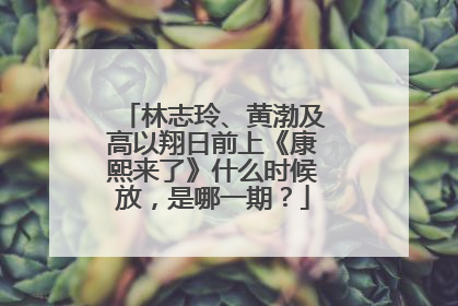 林志玲、黄渤及高以翔日前上《康熙来了》什么时候放，是哪一期？
