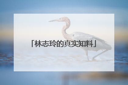 林志玲的真实知料