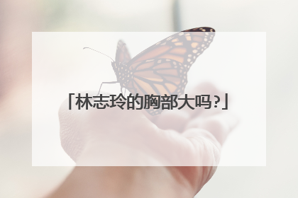 林志玲的胸部大吗?