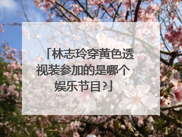 林志玲穿黄色透视装参加的是哪个娱乐节目?