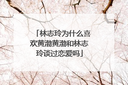 林志玲为什么喜欢黄渤黄渤和林志玲谈过恋爱吗