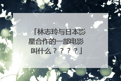 林志玲与日本影星合作的一部电影叫什么????