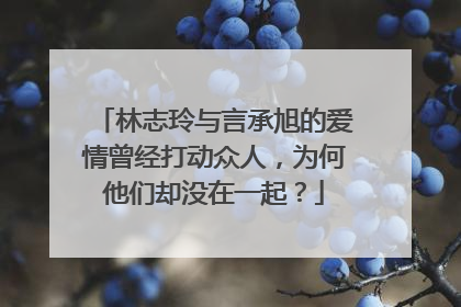 林志玲与言承旭的爱情曾经打动众人，为何他们却没在一起？