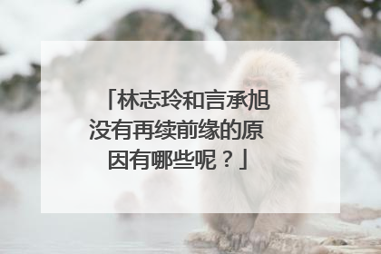 林志玲和言承旭没有再续前缘的原因有哪些呢?
