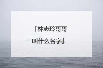 林志玲哥哥叫什么名字