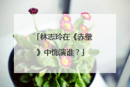 林志玲在《赤壁》中饰演谁?