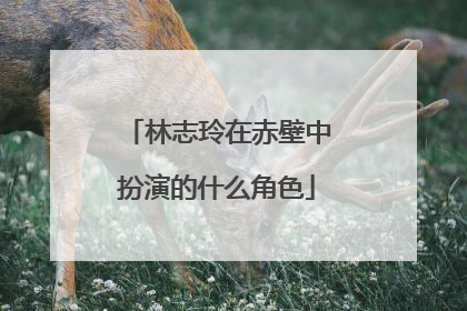 林志玲在赤壁中扮演的什么角色