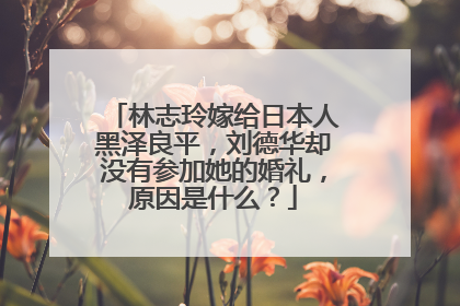 林志玲嫁给日本人黑泽良平，刘德华却没有参加她的婚礼，原因是什么？