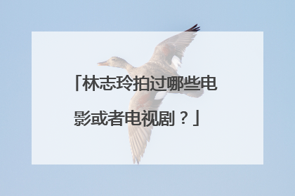 林志玲拍过哪些电影或者电视剧？