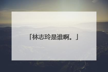 林志玲是谁啊。