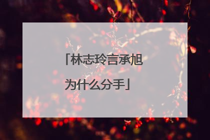 林志玲言承旭为什么分手