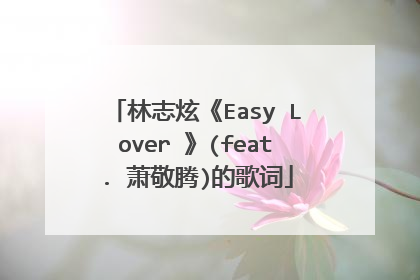 林志炫《Easy Lover 》(feat. 萧敬腾)的歌词