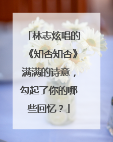 林志炫唱的《知否知否》满满的诗意，勾起了你的哪些回忆？