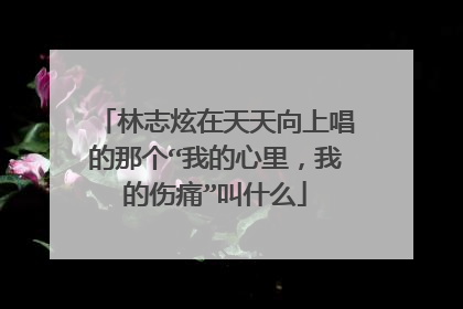 林志炫在天天向上唱的那个“我的心里，我的伤痛”叫什么
