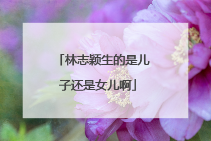 林志颖生的是儿子还是女儿啊
