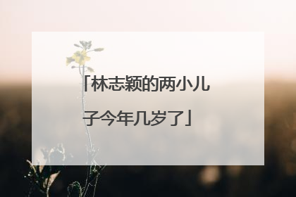 林志颖的两小儿子今年几岁了