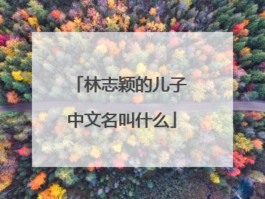 林志颖的儿子中文名叫什么