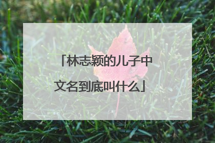 林志颖的儿子中文名到底叫什么