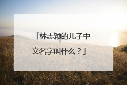 林志颖的儿子中文名字叫什么？