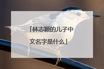 林志颖的儿子中文名字是什么