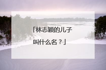 林志颖的儿子叫什么名？