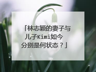 林志颖的妻子与儿子Kimi如今分别是何状态？