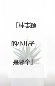 林志颖的小儿子是哪个