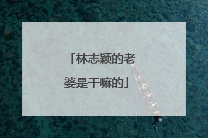 林志颖的老婆是干嘛的
