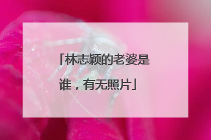 林志颖的老婆是谁，有无照片