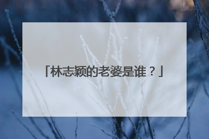 林志颖的老婆是谁?