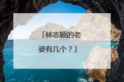 林志颖的老婆有几个？