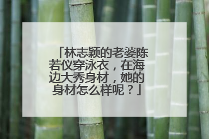 林志颖的老婆陈若仪穿泳衣，在海边大秀身材，她的身材怎么样呢？