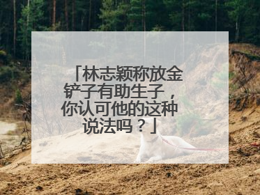 林志颖称放金铲子有助生子，你认可他的这种说法吗？