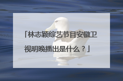 林志颖综艺节目安徽卫视明晚播出是什么?