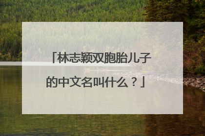 林志颖双胞胎儿子的中文名叫什么？