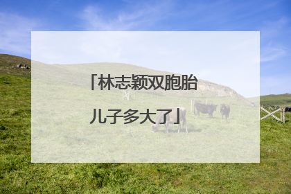 林志颖双胞胎儿子多大了