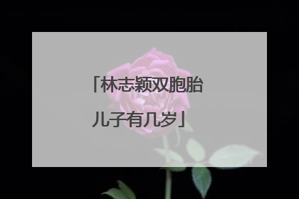 林志颖双胞胎儿子有几岁