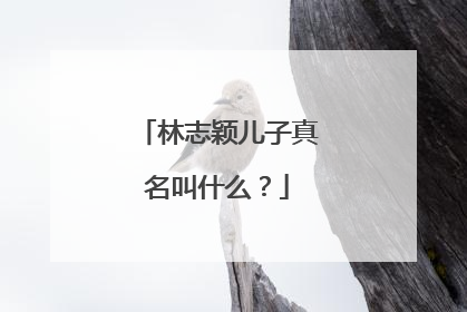 林志颖儿子真名叫什么?